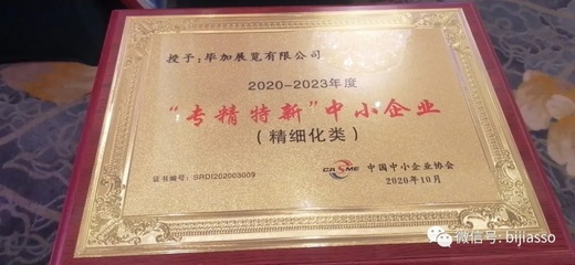 畢加帶你細看2020中國中小企業(yè)發(fā)展大會 展覽展示